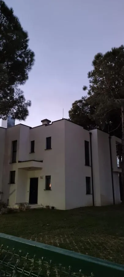 4Rent Vila Vm8 Villa Plazhi San Pietro
